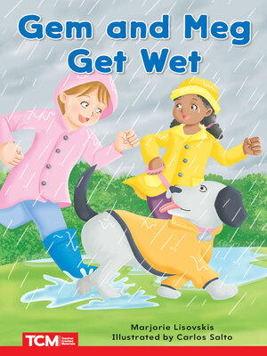 cover image of Gem and Meg Get Wet, Level 1